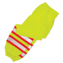 pants-mesh.png